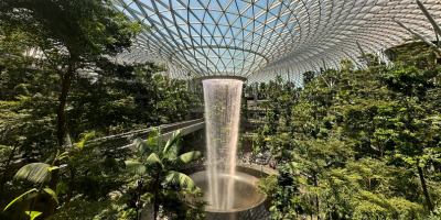 STEM-singapore
