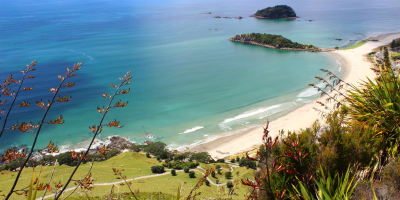stem-new-zealand
